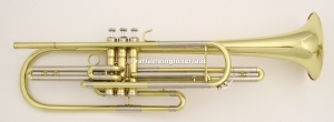 Anteprima